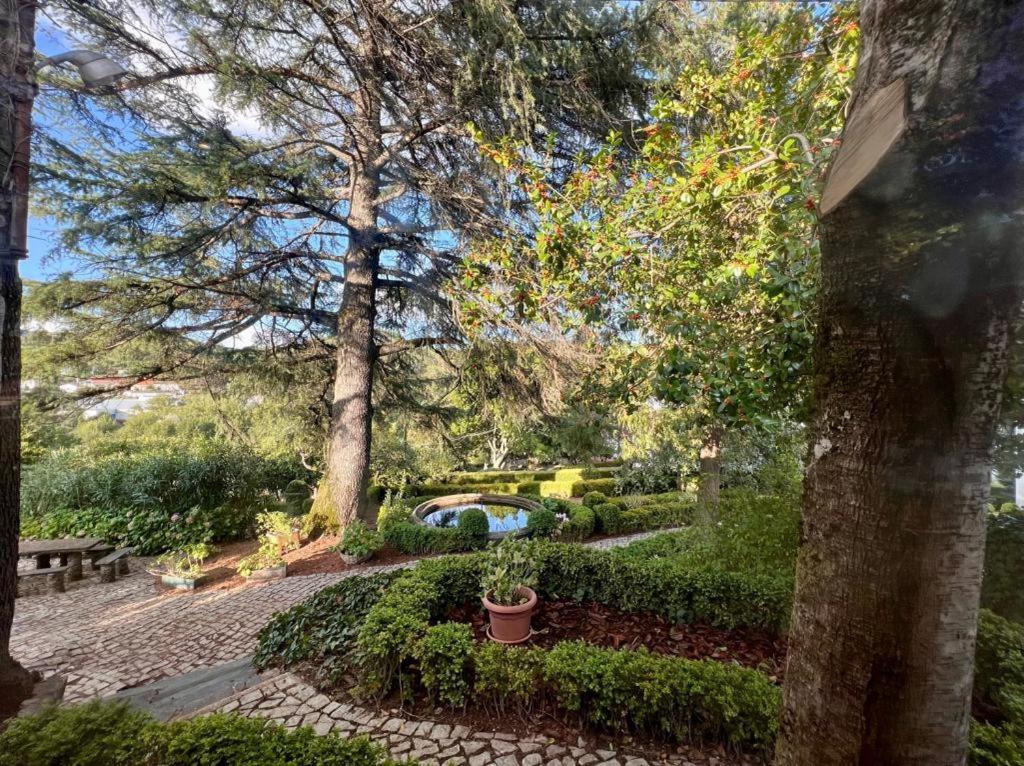 Casa Fundeira - Quinta Dos Esconhais Castanheira de Pera Extérieur photo